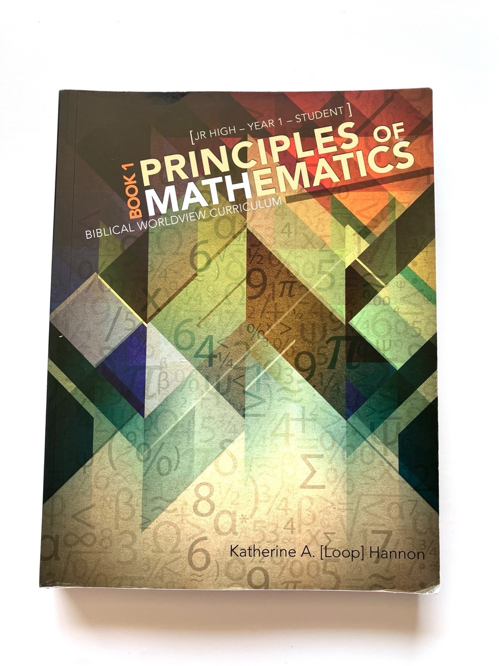 Masterbooks Principles of Mathematics 1 Homeschool Math Student Book